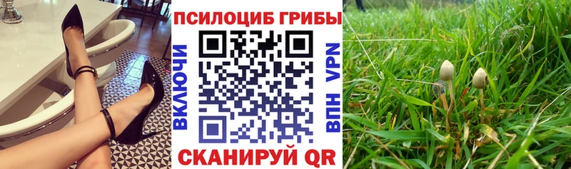 Псилоцибиновые грибы Psilocybine cubensis  OMG ТОР  Киров  купить наркотики цена 